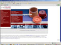 Manufacturing web design