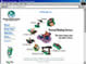 Web Design, Search Engine Optimization